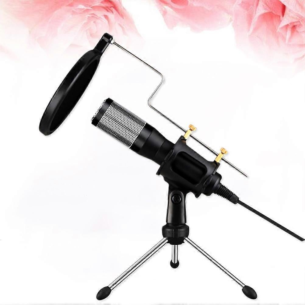 Long Distance USB PC Microphone - Clip-on Recording Mic with USB Plug - Image 2