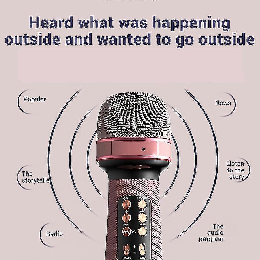Wireless babies Microphone - Handheld Mic with Built-in Speaker - Image 2