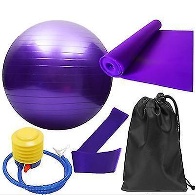 5pcs Purple Yoga Training Set with Fitness Ball & Bands - Image 1