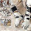 Women's Coral Fleece Fluffy Socks Soft Slipper Bed Socks for Winter Use - Image 4