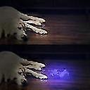 5 LED UV Flashlight Purple Light for Detection & Outdoor Use - Image 5