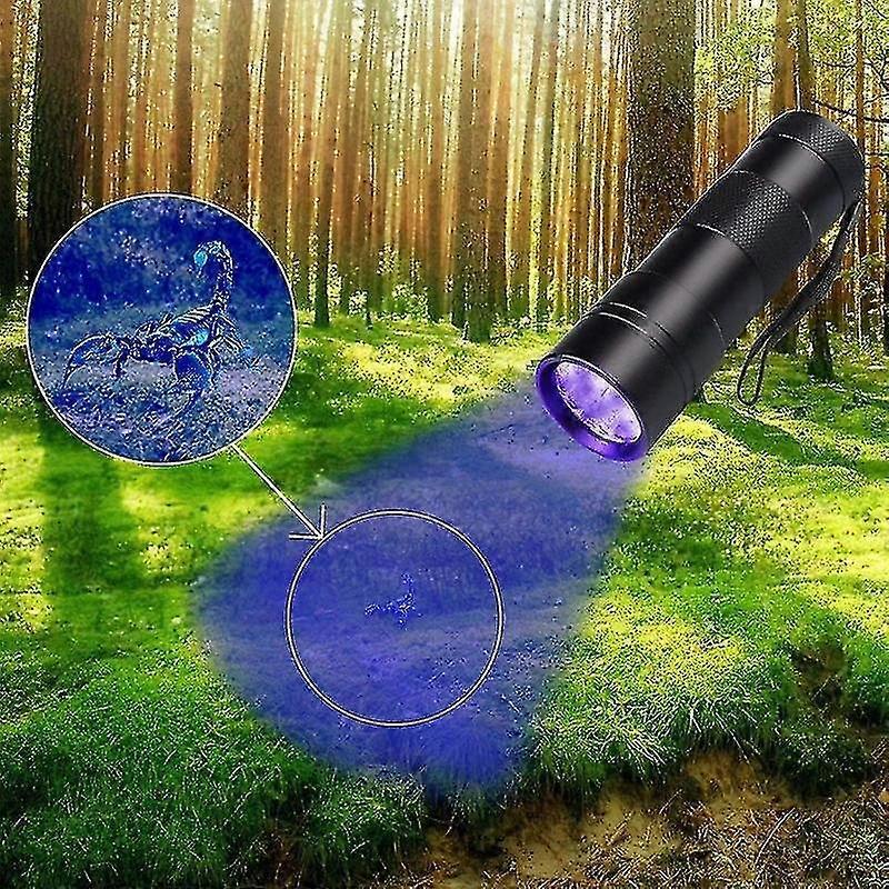 12 LED UV Flashlight Purple Ultraviolet Torch for Detection or Cleaning Use - Image 3