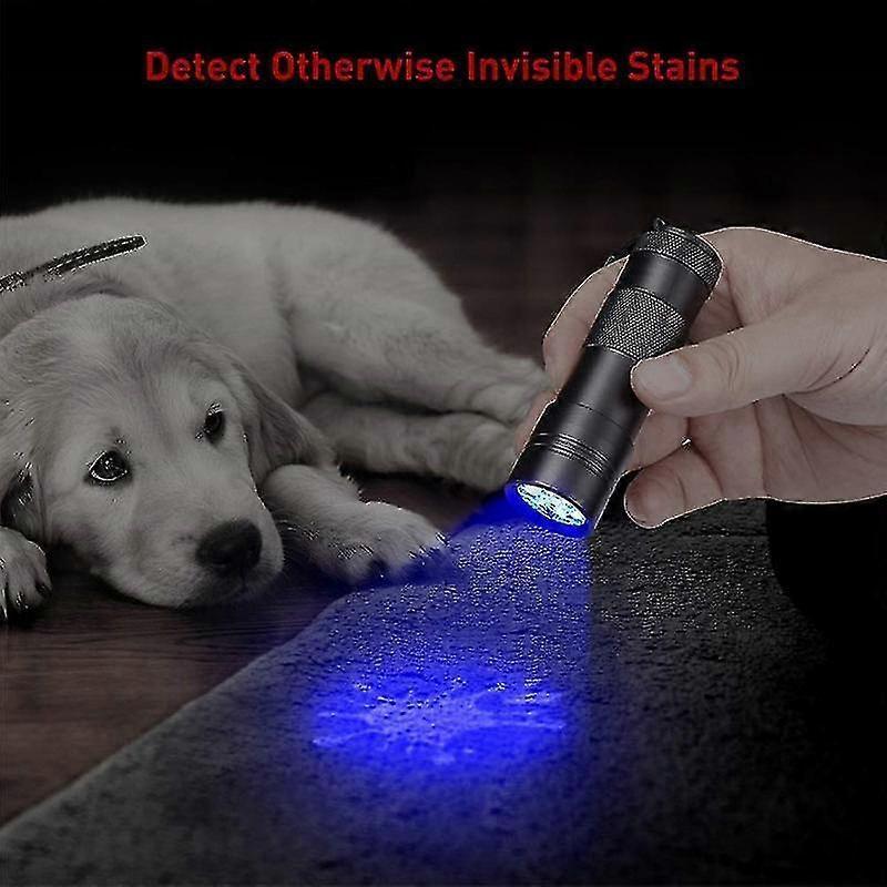 12 LED UV Flashlight Purple Ultraviolet Torch for Detection or Cleaning Use - Image 4