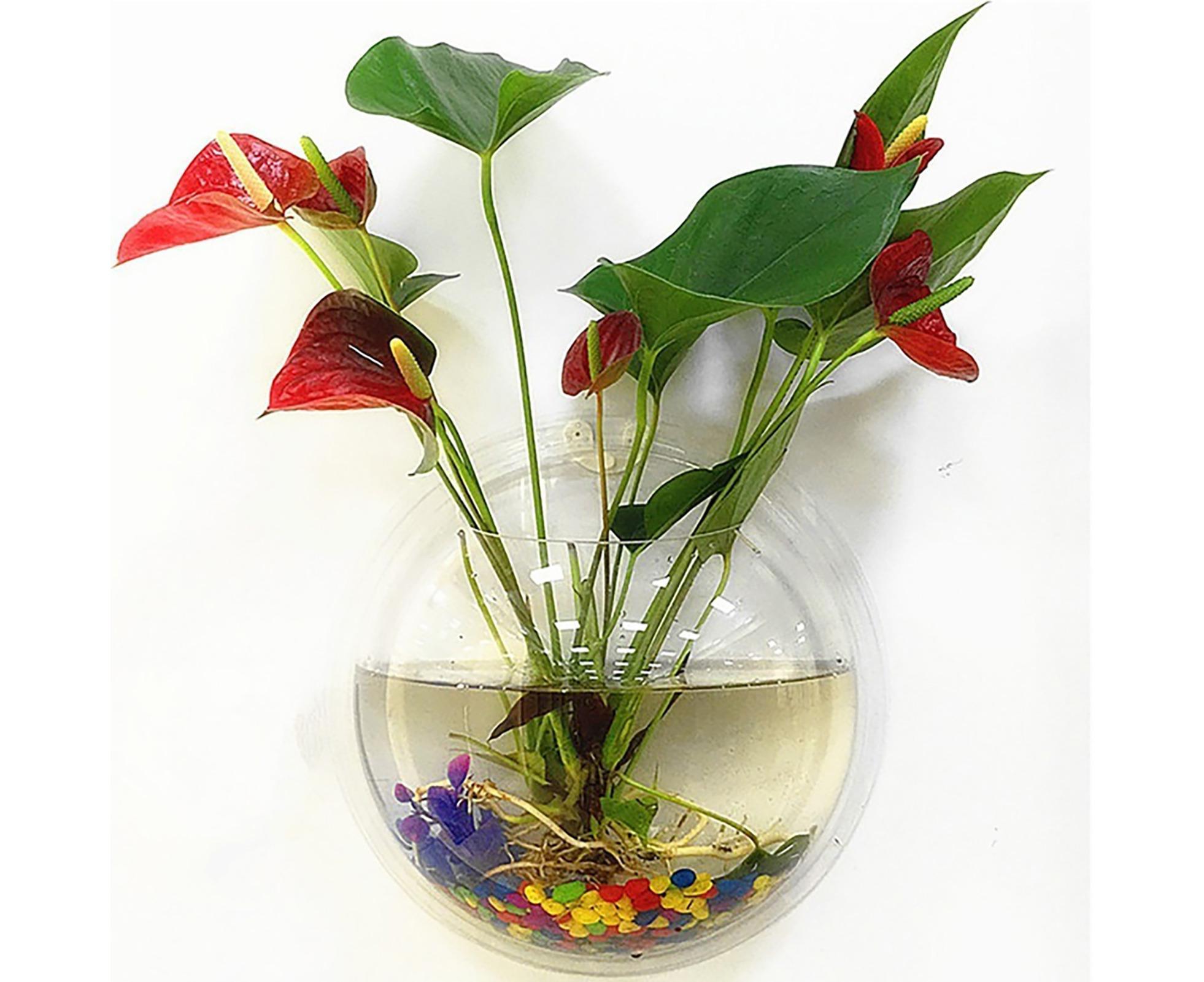 1 Set Fish Tank Decorative Wall Mounted Hanging Flower Vase-Transparent - Image 1