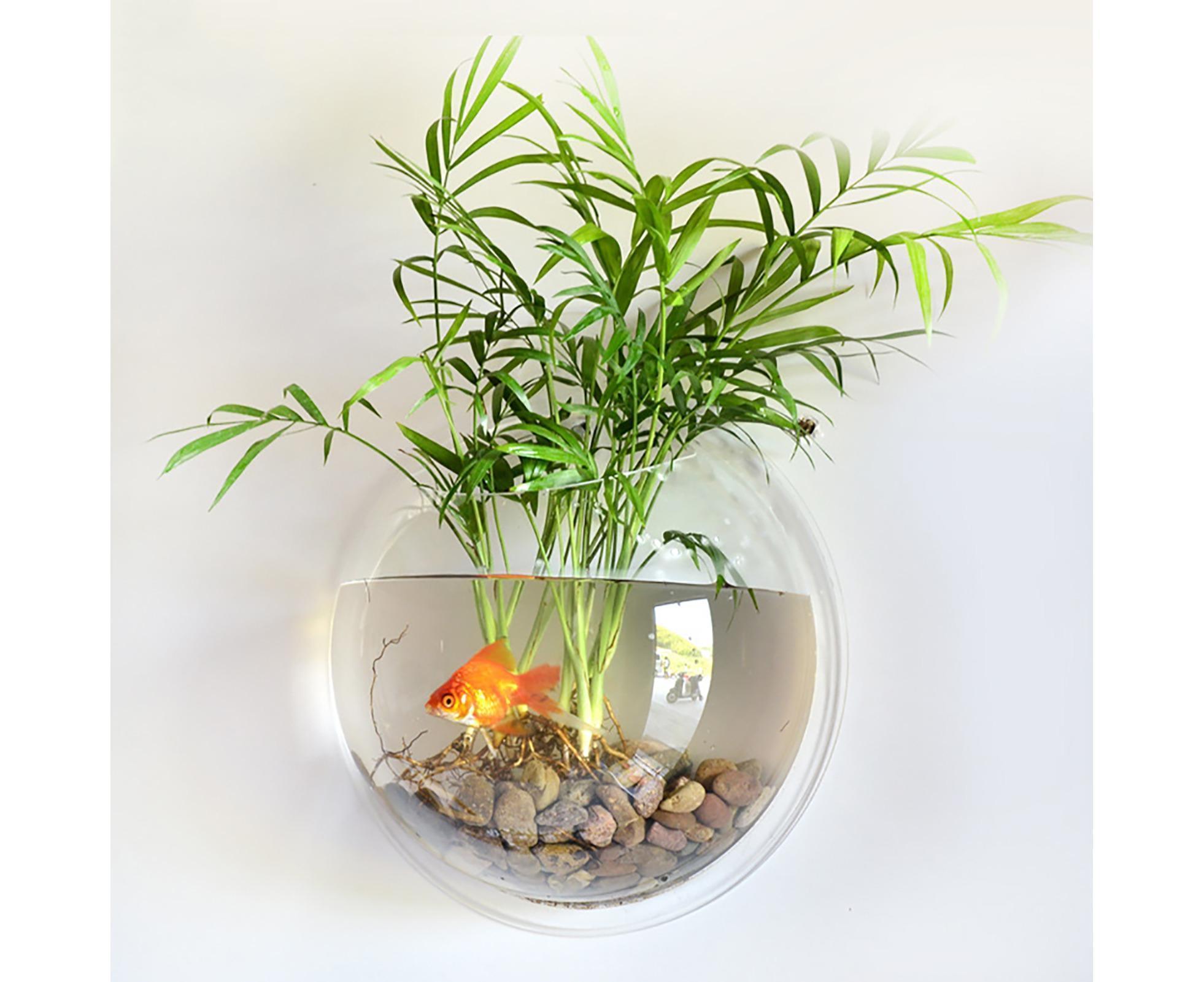 1 Set Fish Tank Decorative Wall Mounted Hanging Flower Vase-Transparent - Image 5