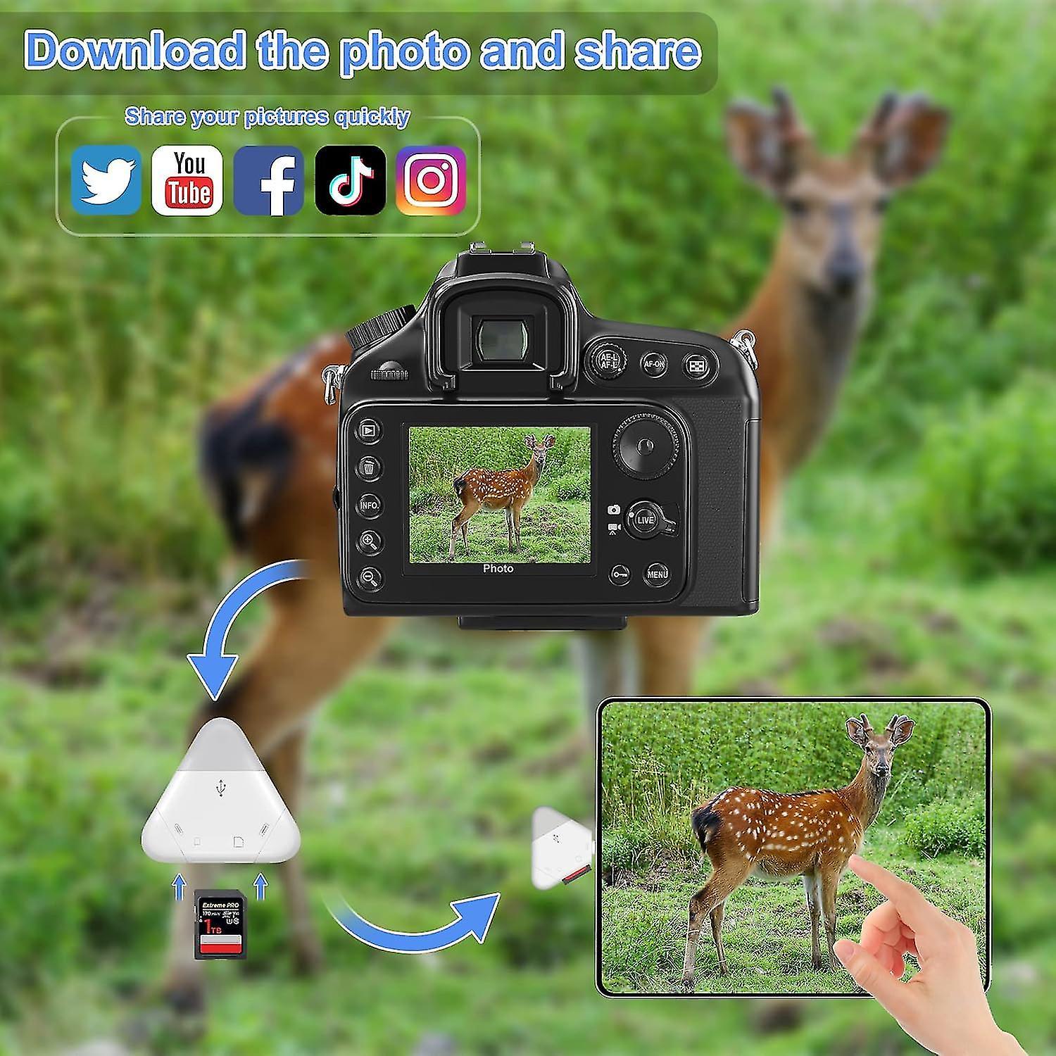 SD Card Reader for iPhone, USB Type-C Triangle TF Memory Adapter - Image 5
