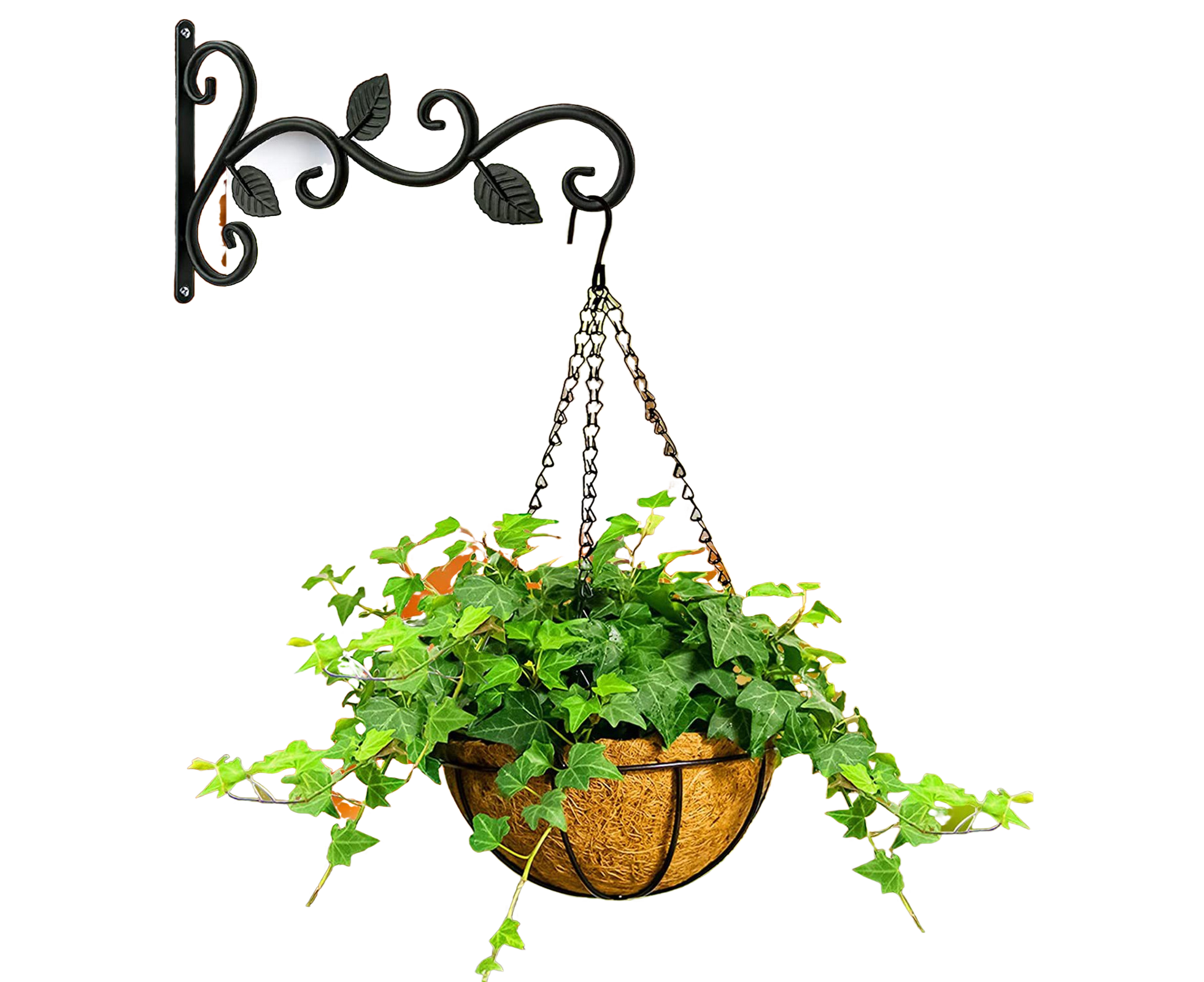 Plant Holder for Garden-Black - Image 1