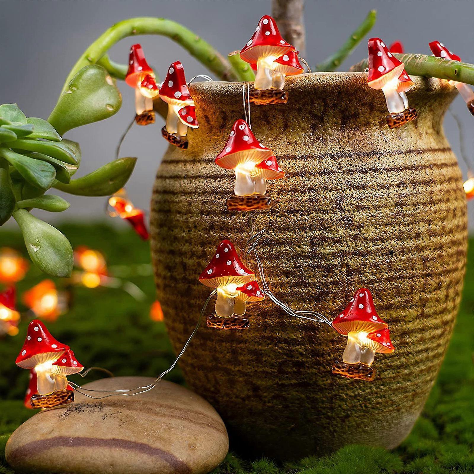 Fairy Lights 2M 20 LEDs, USB Rainproof LED String Lights for Christmas - Image 3