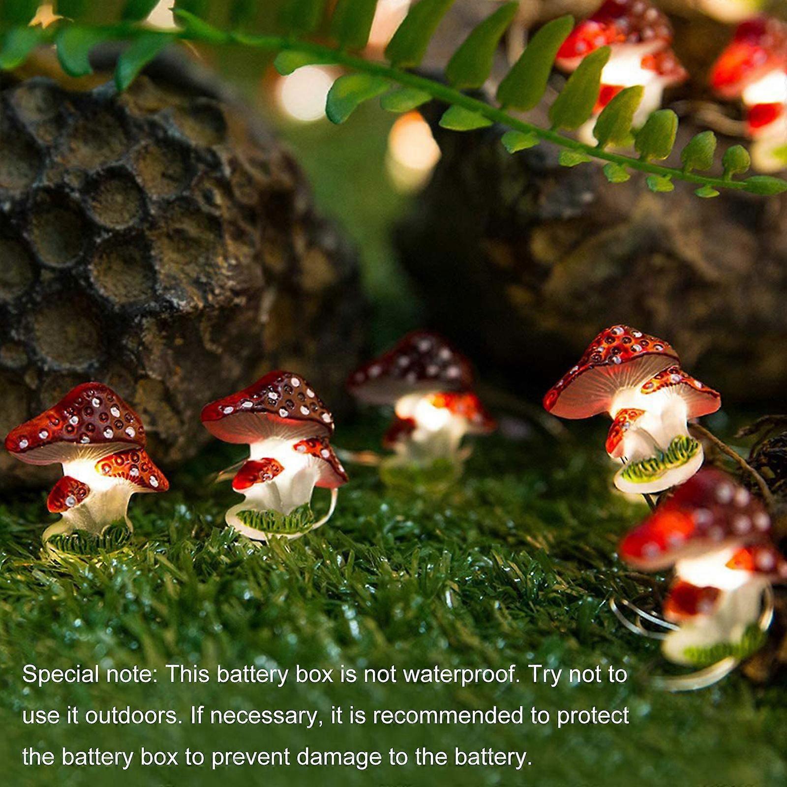 Fairy Lights 2M 20 LEDs, USB Rainproof LED String Lights for Christmas - Image 4