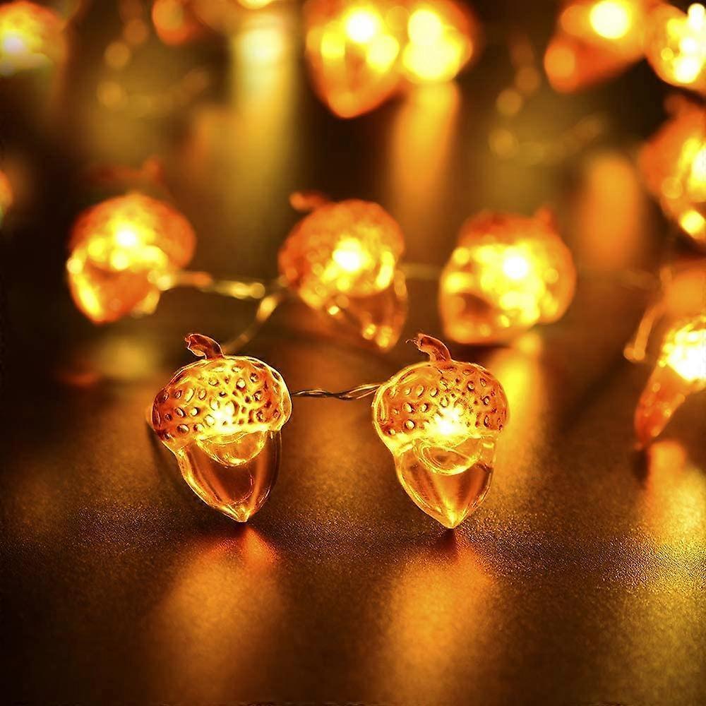 Acorn LED String Lights, 20 LEDs, 6.5ft Battery Powered Fairy Lights - Image 2