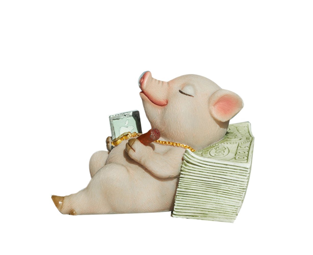 Lovely Moving Brick Reading Book Pig Ornament Home Desktop Decor Resin Craft-5# - Image 1