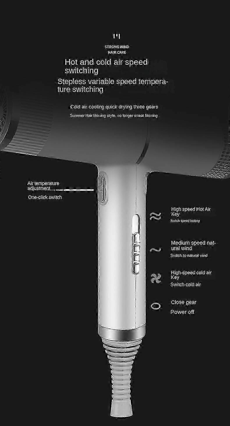 2000W Professional Ionic Hair Dryer with Diffuser Silver Purple - Image 5