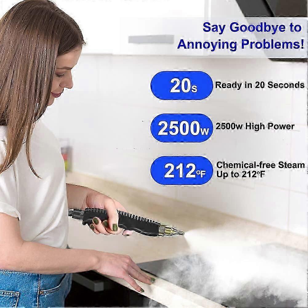2500W Handheld Steam Cleaner for Home Use Portable Cleaning Steamer - Image 4