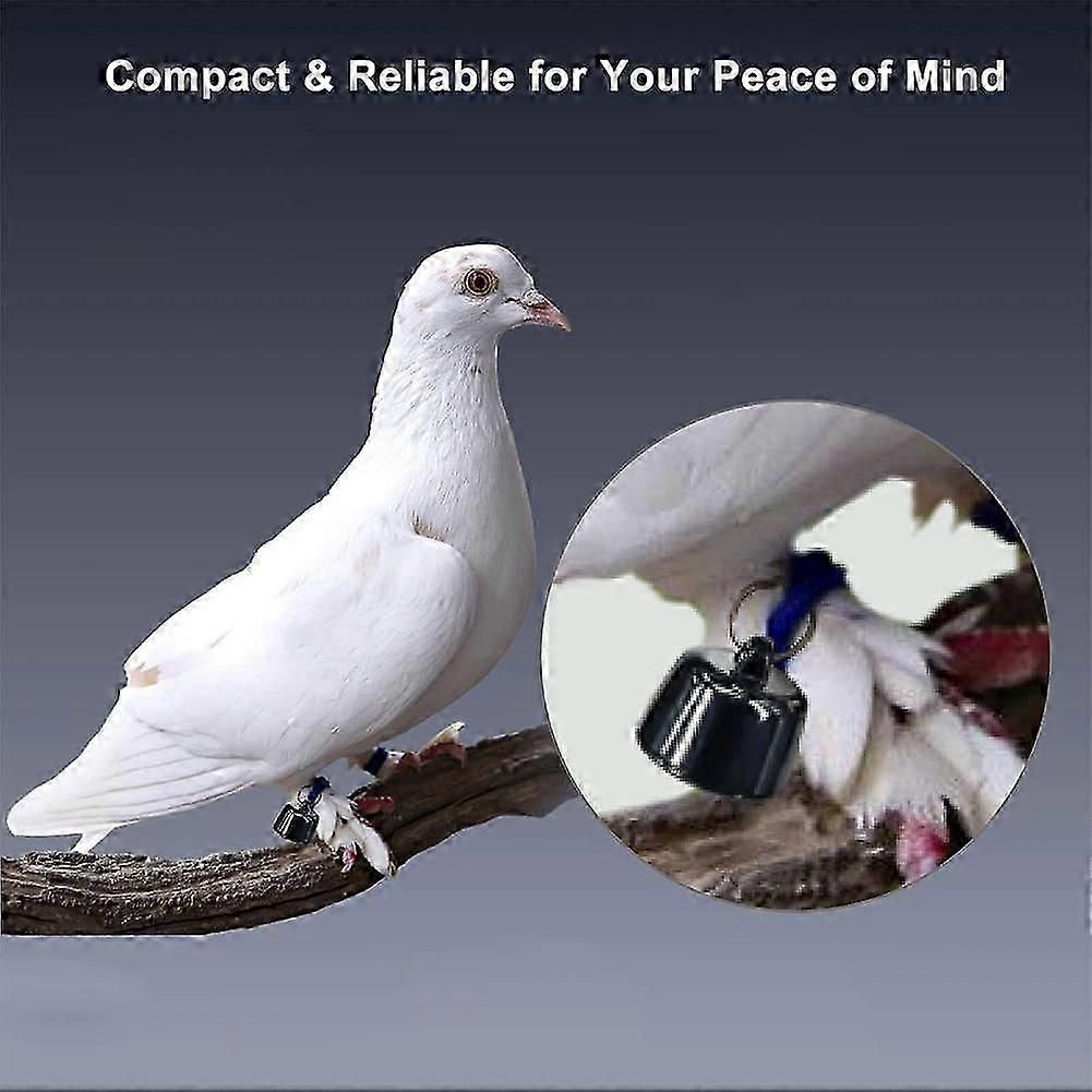 Mini Smart Pet Tracker with Collar - GPS Real-Time Location for Cats - Image 4