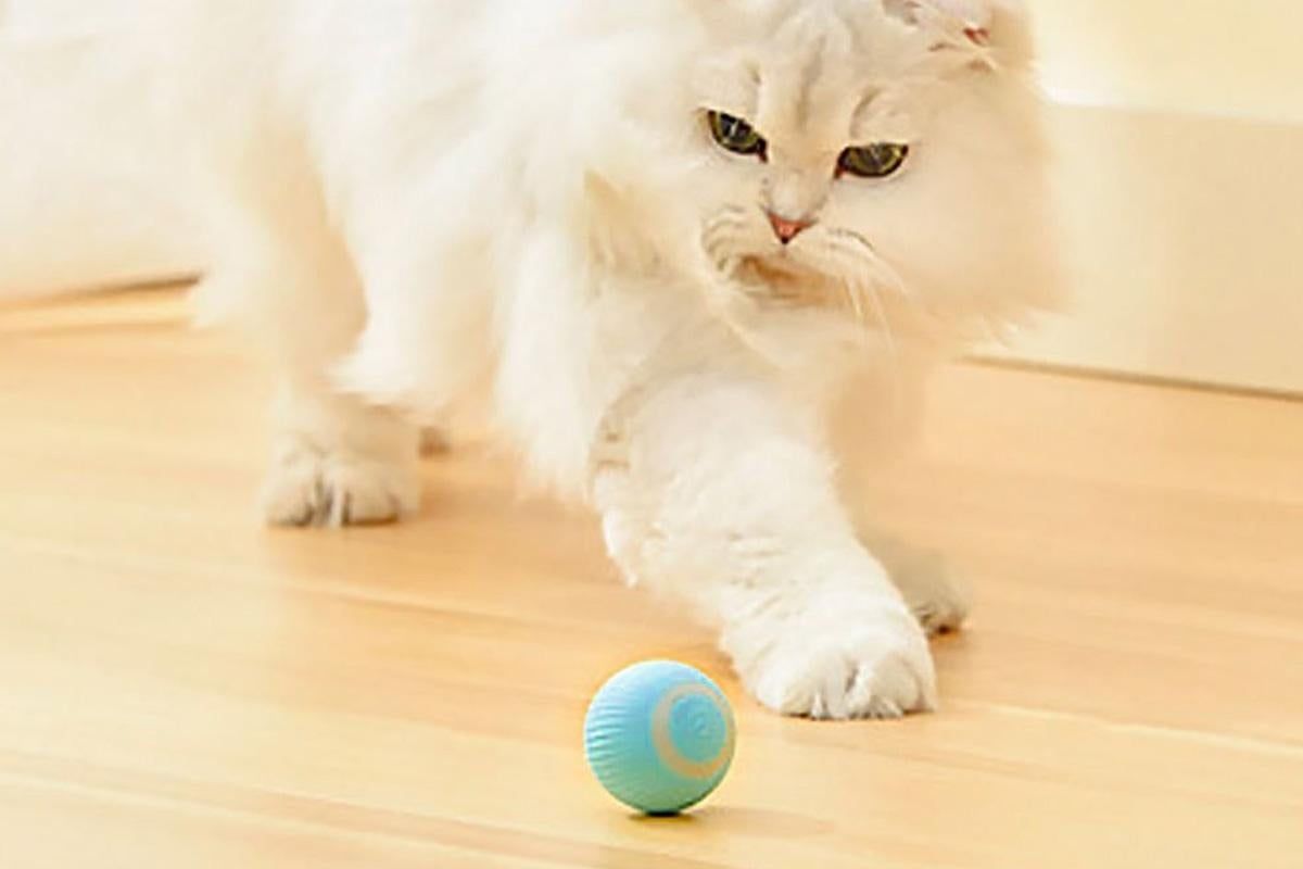 2PCS Interactive Smart Cat Toy Automatic Rolling Cat Ball Self-Moving Kitten Toys - Image 3