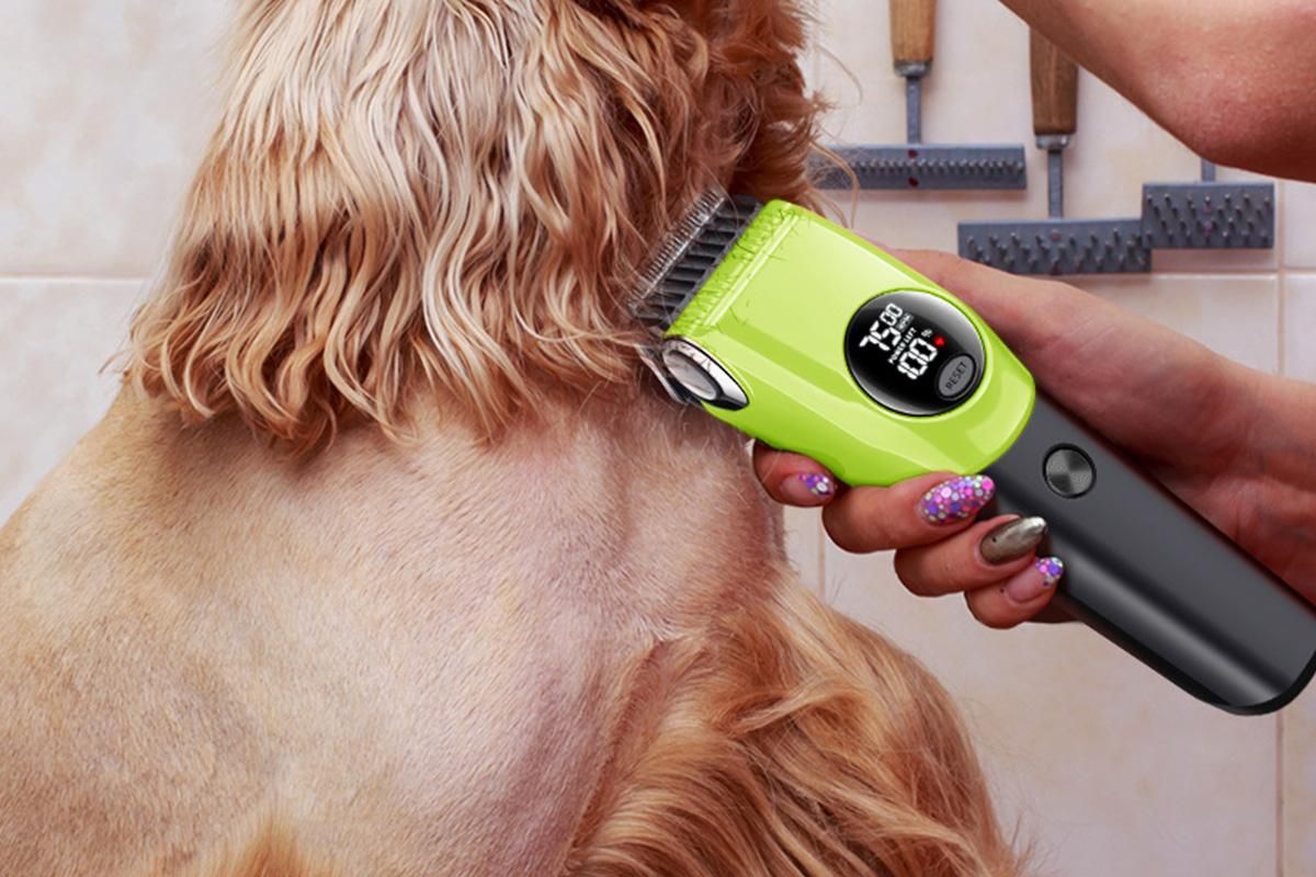 Dog Clipper Low Noise Dog Grooming Kit Rechargeable 3-Speed With LCD Display for Dogs Cats Pets - Image 4