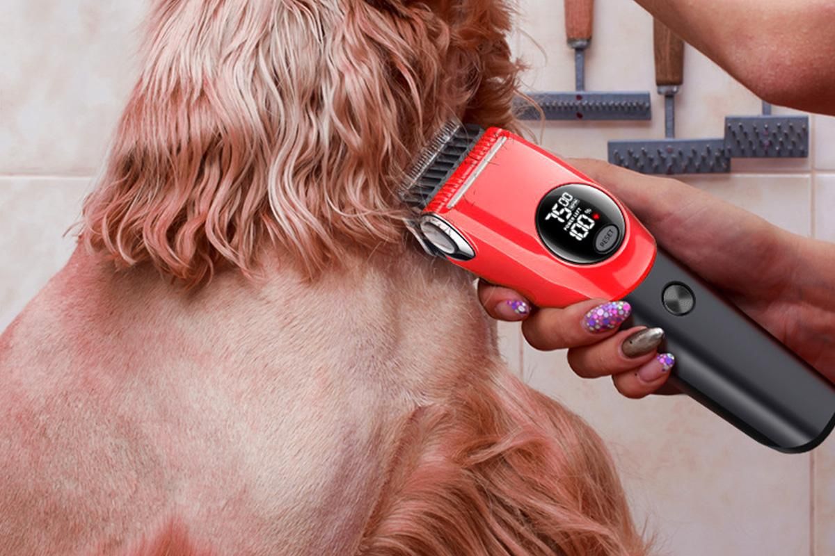 Dog Clipper Low Noise Dog Grooming Kit Rechargeable 3-Speed With LCD Display for Dogs Cats Pets - Image 4