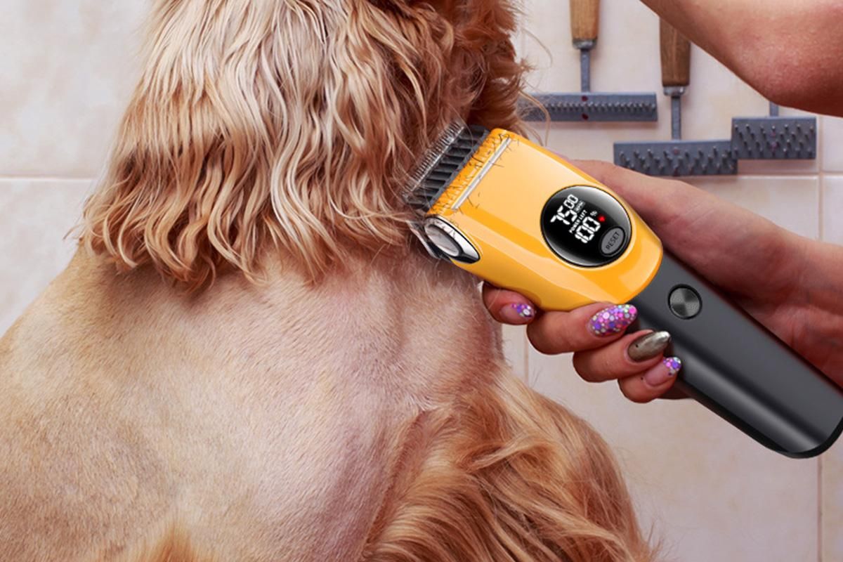 Dog Clipper Low Noise Dog Grooming Kit Rechargeable 3-Speed With LCD Display for Dogs Cats Pets - Image 4
