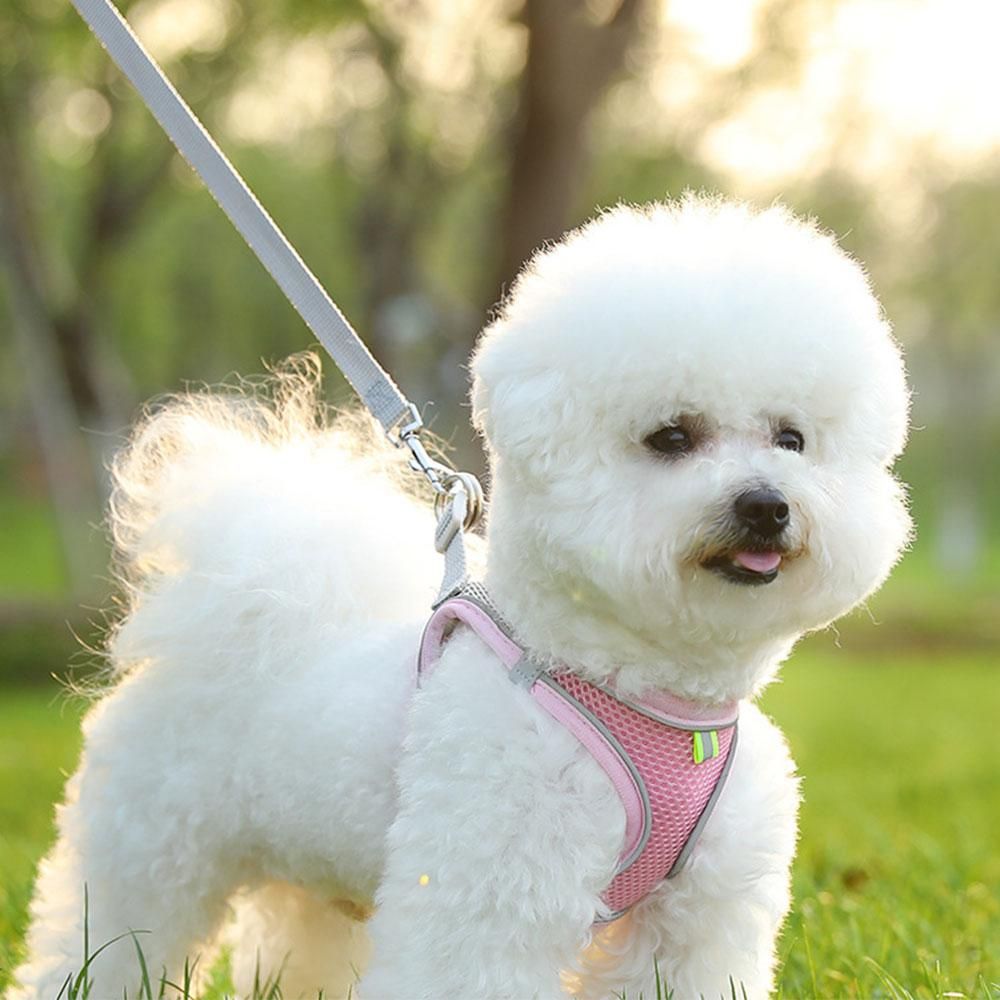 Pet Cat Harness and Leash Set Breathable Vest with Reflective Strip for Kitten Walking Traveling Pink - Image 2