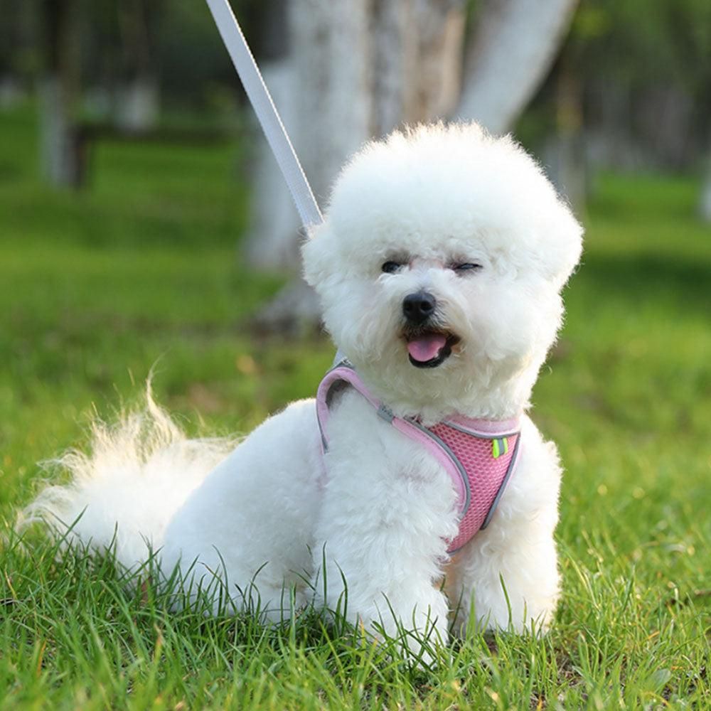 Pet Cat Harness and Leash Set Breathable Vest with Reflective Strip for Kitten Walking Traveling Pink - Image 3