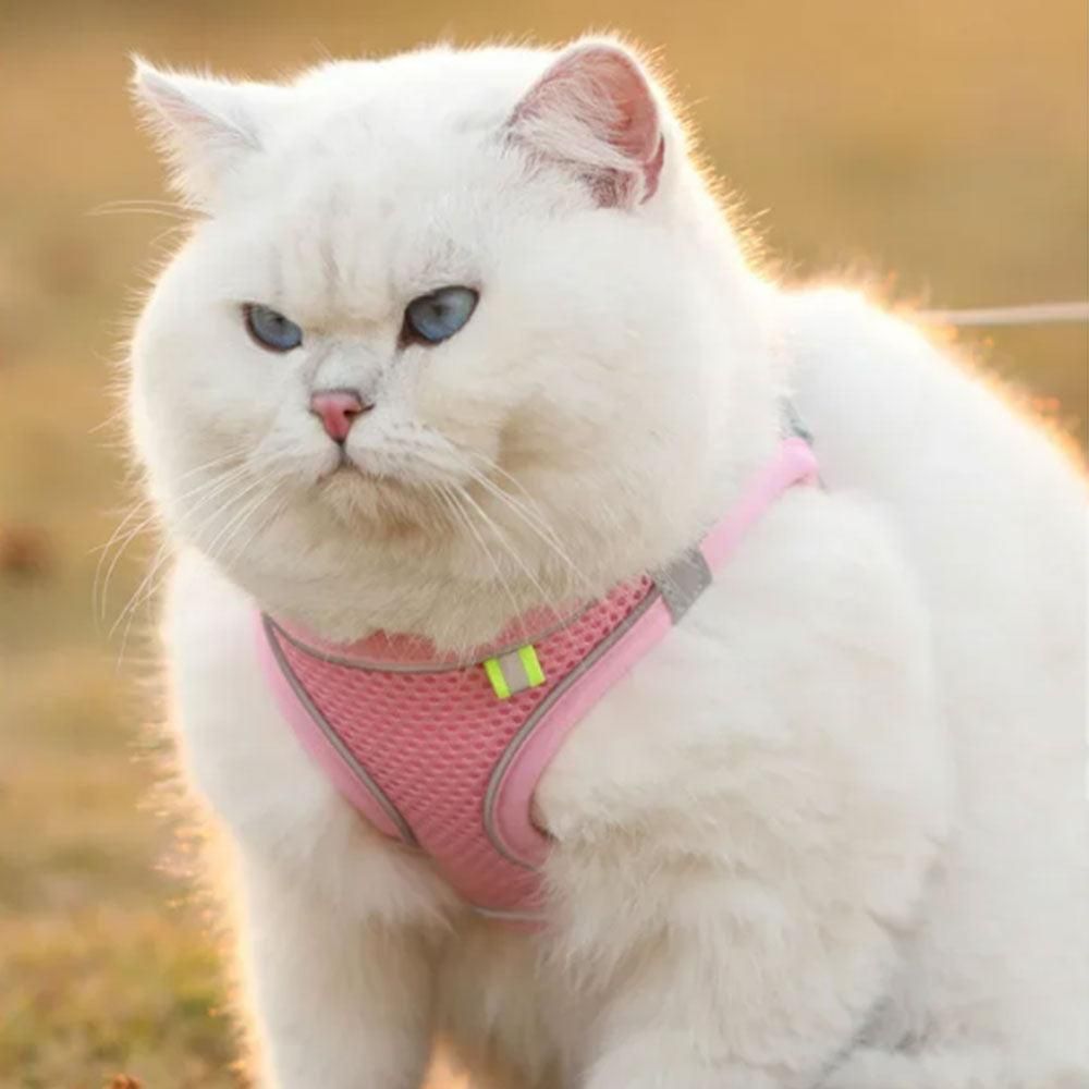 Pet Cat Harness and Leash Set Breathable Vest with Reflective Strip for Kitten Walking Traveling Pink - Image 4