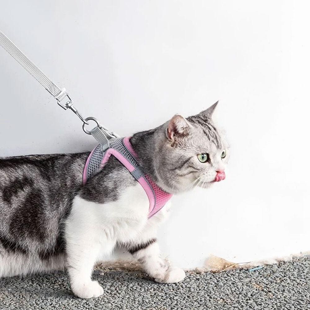 Pet Cat Harness and Leash Set Breathable Vest with Reflective Strip for Kitten Walking Traveling Pink - Image 7