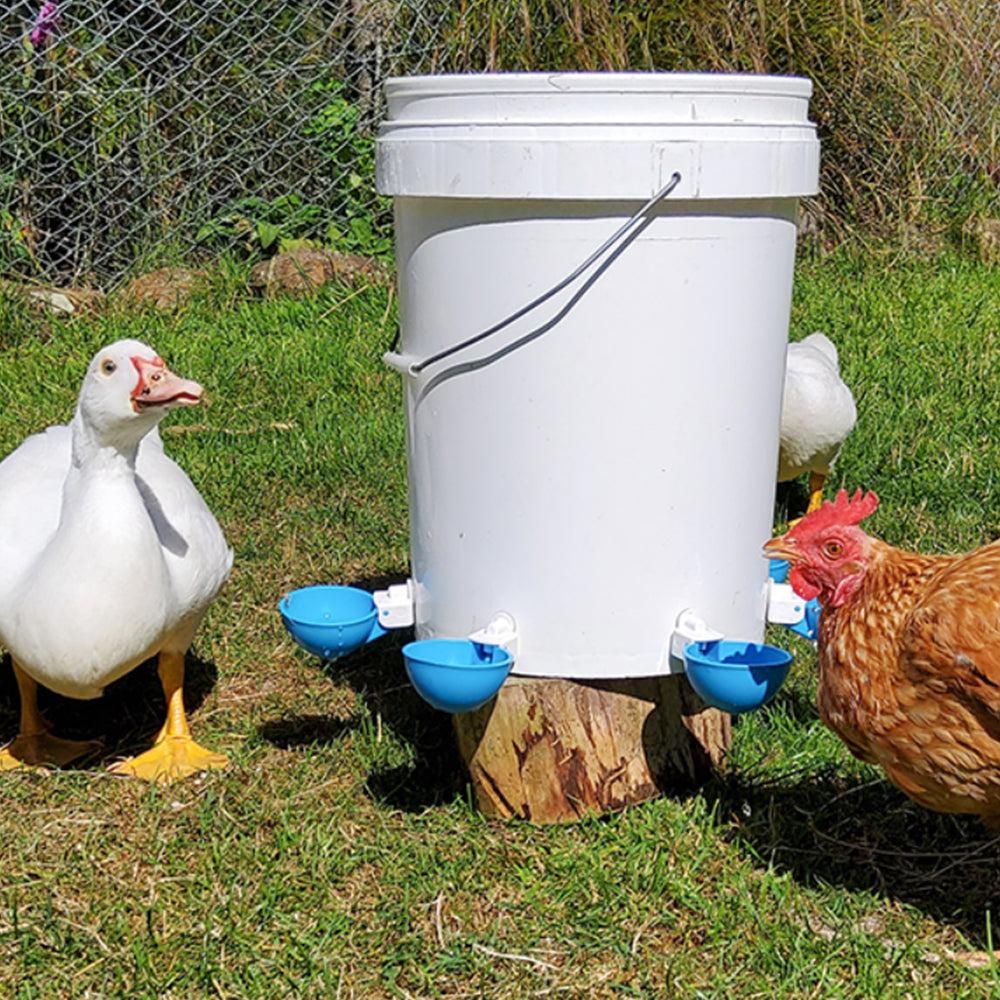 5Pcs Automatic Chicken Waterer Cups Water Feeder for Chicks Duck Goose Blue - Image 2