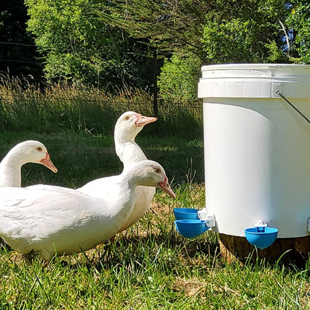 5Pcs Automatic Chicken Waterer Cups Water Feeder for Chicks Duck Goose Blue - Image 3