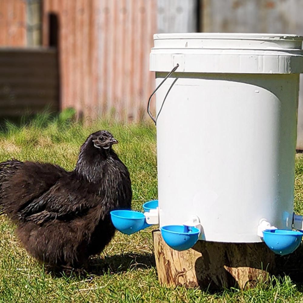5Pcs Automatic Chicken Waterer Cups Water Feeder for Chicks Duck Goose Blue - Image 4