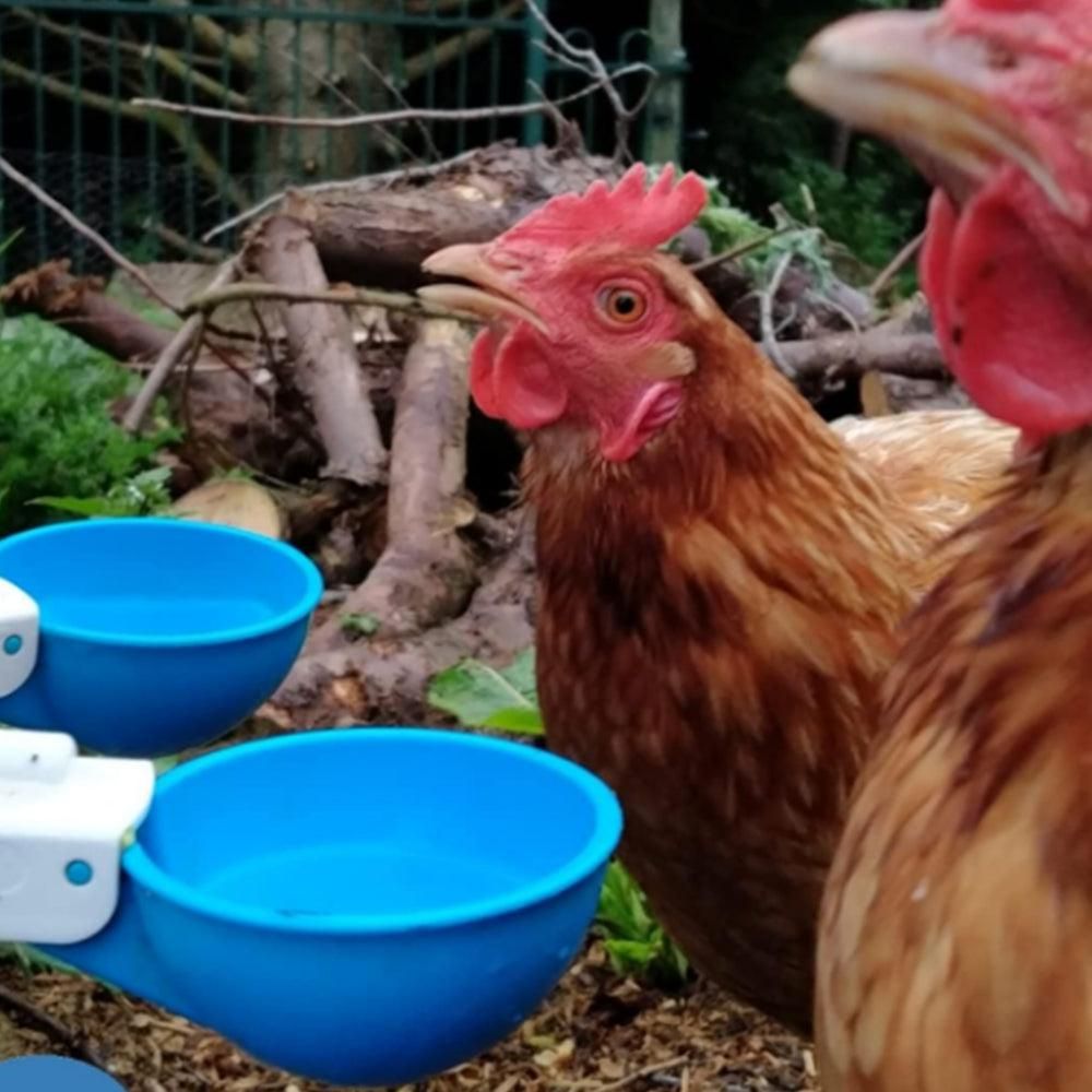 5Pcs Automatic Chicken Waterer Cups Water Feeder for Chicks Duck Goose Blue - Image 5