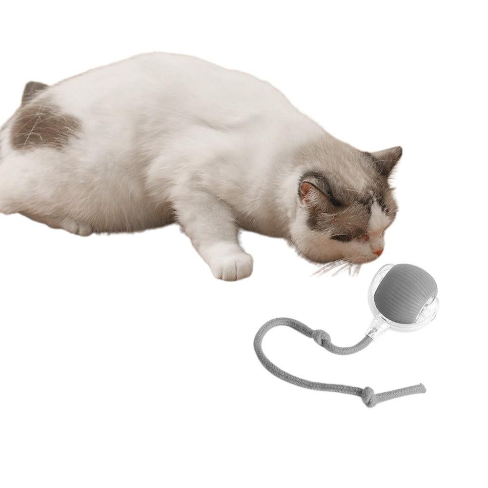 Interactive Cat Toy Ball Fast Rolling Motion Activate Cat Toys Gray - Image 5