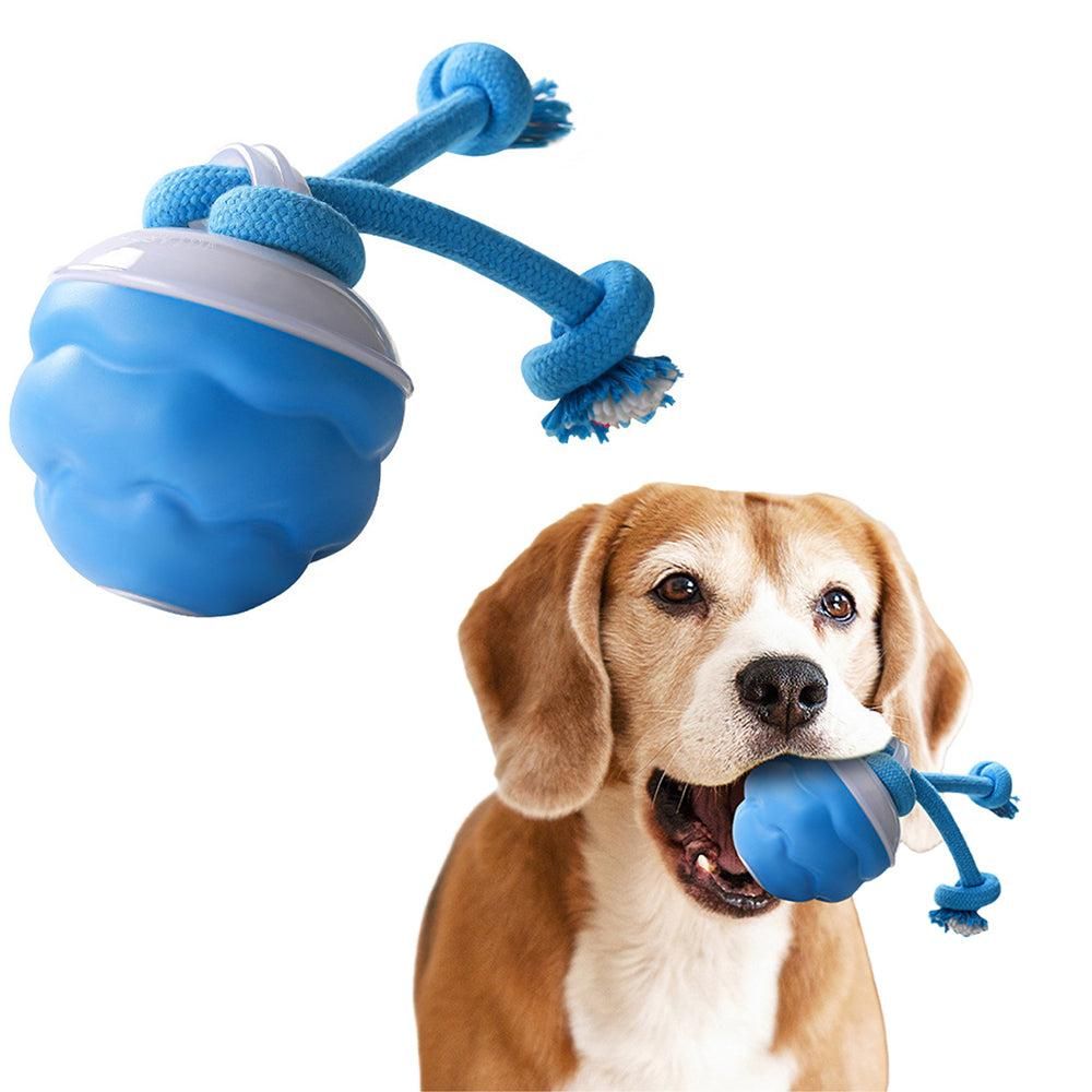 3-Mode Pet Interactive Toys Squeaky Auto Rolling Ball Dog Toy Blue - Image 1