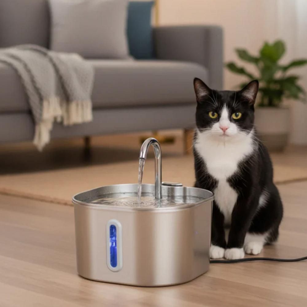 USB 2.2L Stainless Steel Pet Water Fountain for Cats and Small Dogs - Image 7