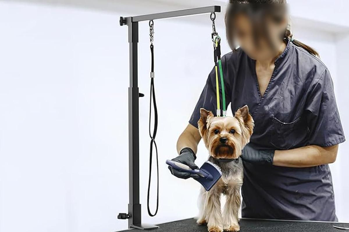 Dog Grooming Arm Pet Grooming Hammock Dog Grooming Stand with Loop Noose - Image 6