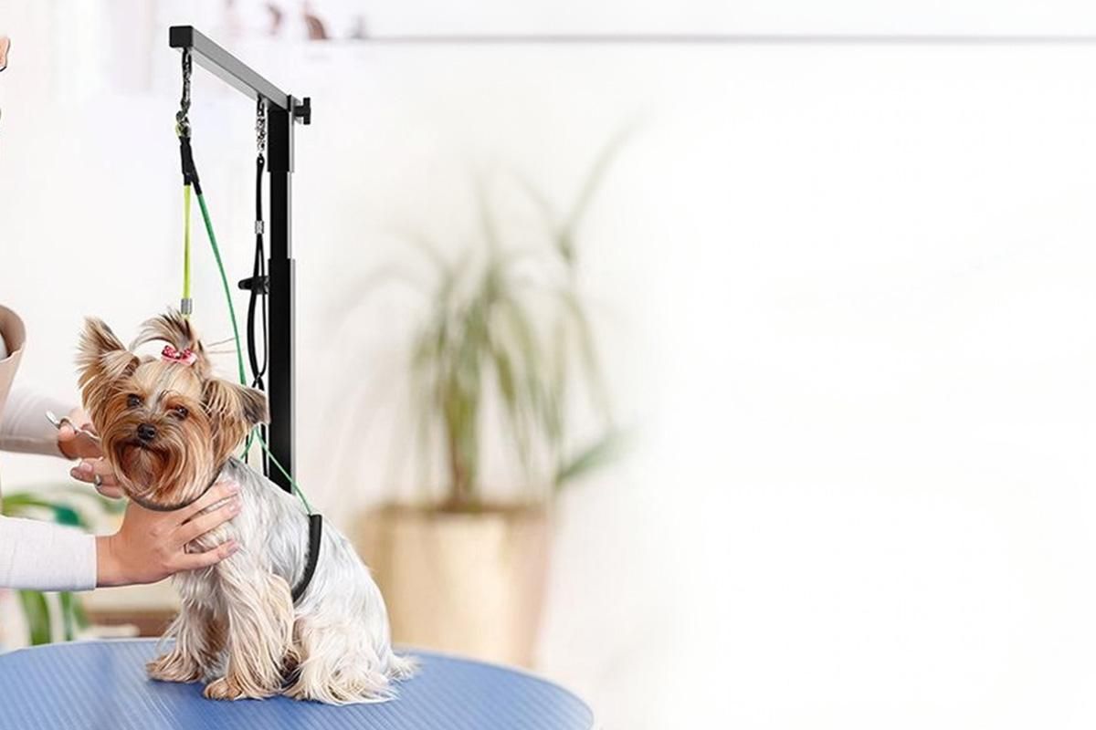 Dog Grooming Arm Pet Grooming Hammock Dog Grooming Stand with Loop Noose - Image 7