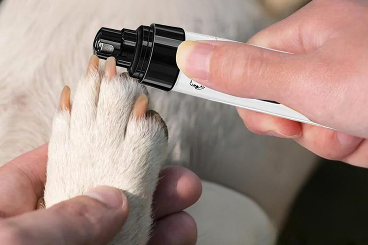 2-Speed Dog Nail Grinder Pet Nail Grinder Super Quiet Rechargeable Electric Dog Nail Trimmer for Large Medium Small Dogs - Image 3