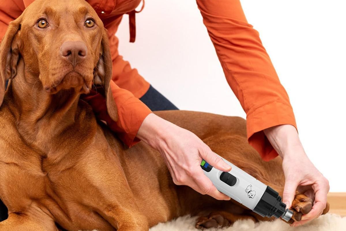 2-Speed Dog Nail Grinder Pet Nail Grinder Super Quiet Rechargeable Electric Dog Nail Trimmer for Large Medium Small Dogs - Image 4
