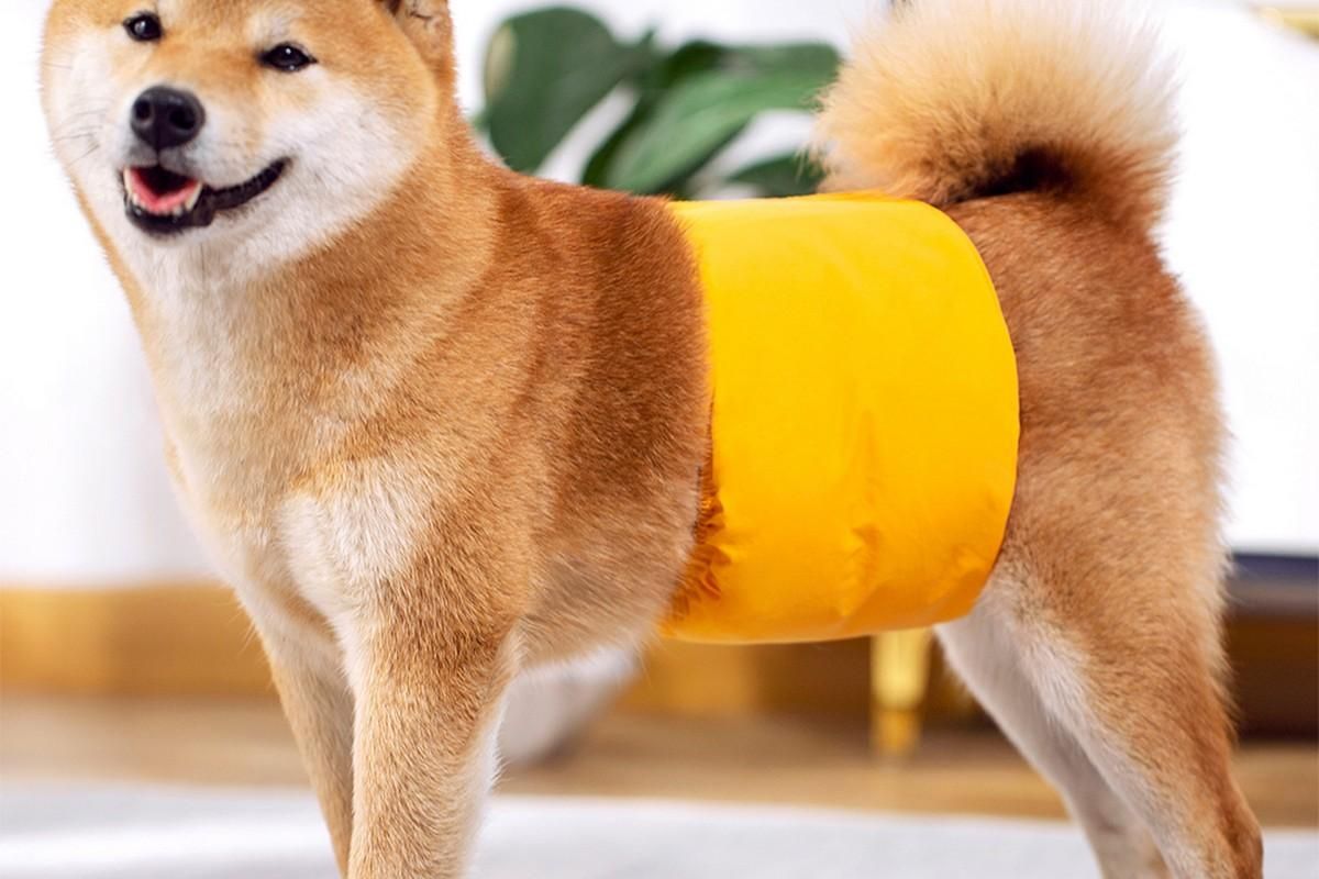 Washable Dog Diaper Water-resistant Puppy Nappy Belly Wrap for Male Dogs Reusable Dog Belly Bands Male Puppy Nappies Wrap Yellow - S - Image 3