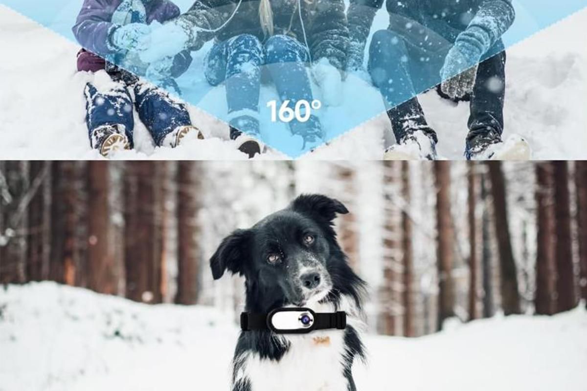 HD 1080P Dog Tracker Collar No WiFi No App Dog Collar Camera Dog Cat Pet Sport Action Camera Collar Mini Body Cam - Image 6