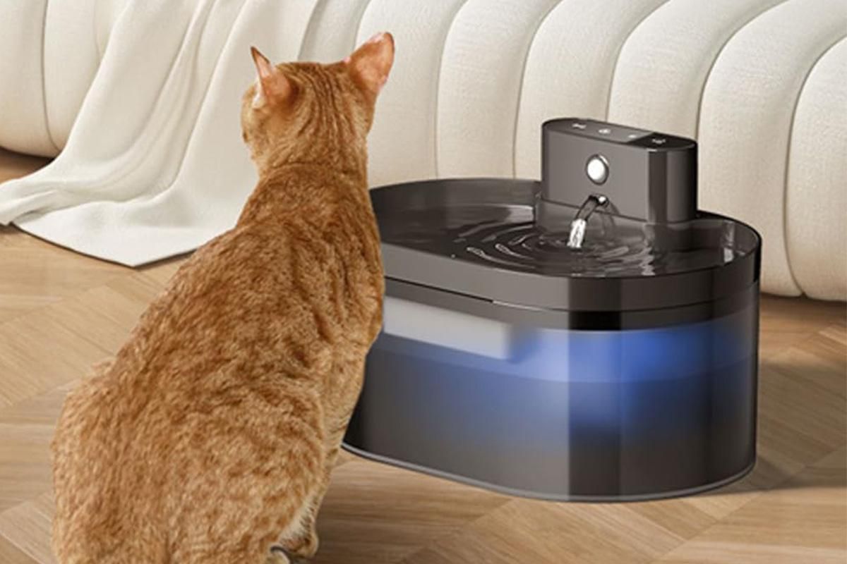 Automatic Electric Pet Water Fountain Dog Cat Drinking Dispenser with Filter - Image 3
