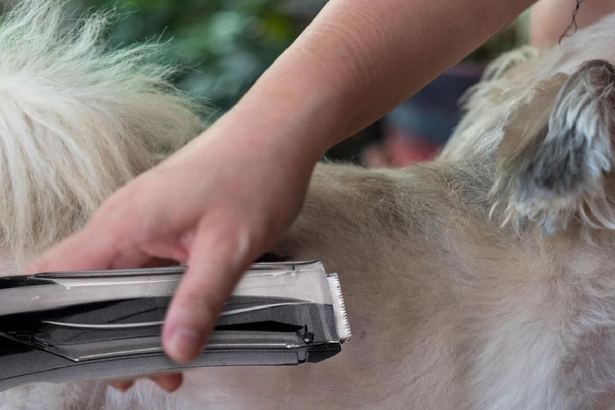Pet Vacuum Hair Clipper Dog Shaver Clipper 3 Speed USB Electric Pet Razor Low Noise Pet Trimmer Rechargeable Cordless Pet Shaver - Image 3