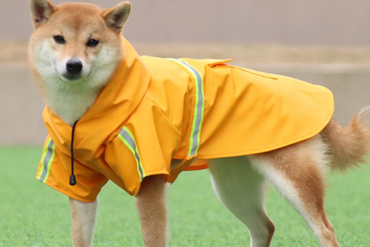 Pet Raincoat Outdoor Waterproof Dog Poncho for Small and Medium Dogs - Yellow - Image 2