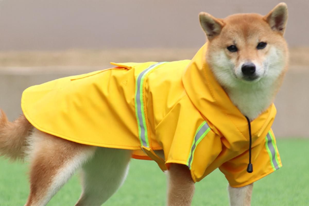 Pet Raincoat Outdoor Waterproof Dog Poncho for Small and Medium Dogs - Yellow - Image 3