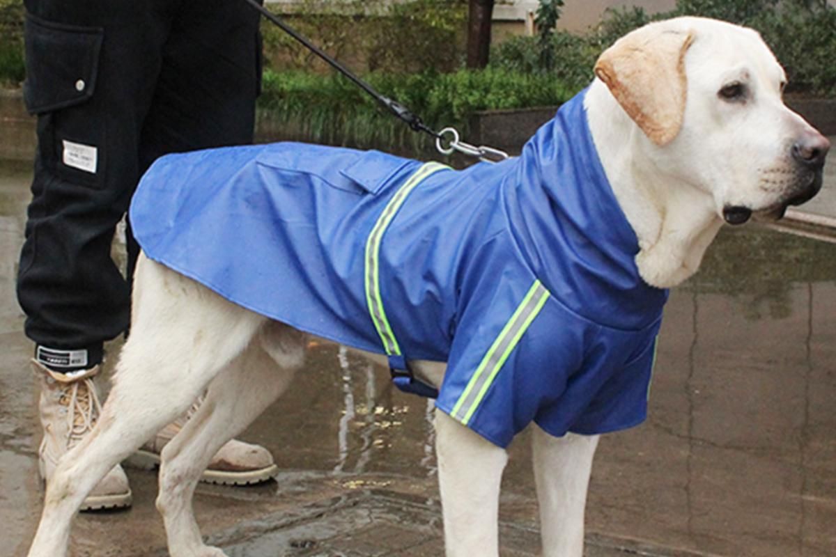 Pet Raincoat Outdoor Waterproof Dog Poncho for Small and Medium Dogs - Blue - Image 3