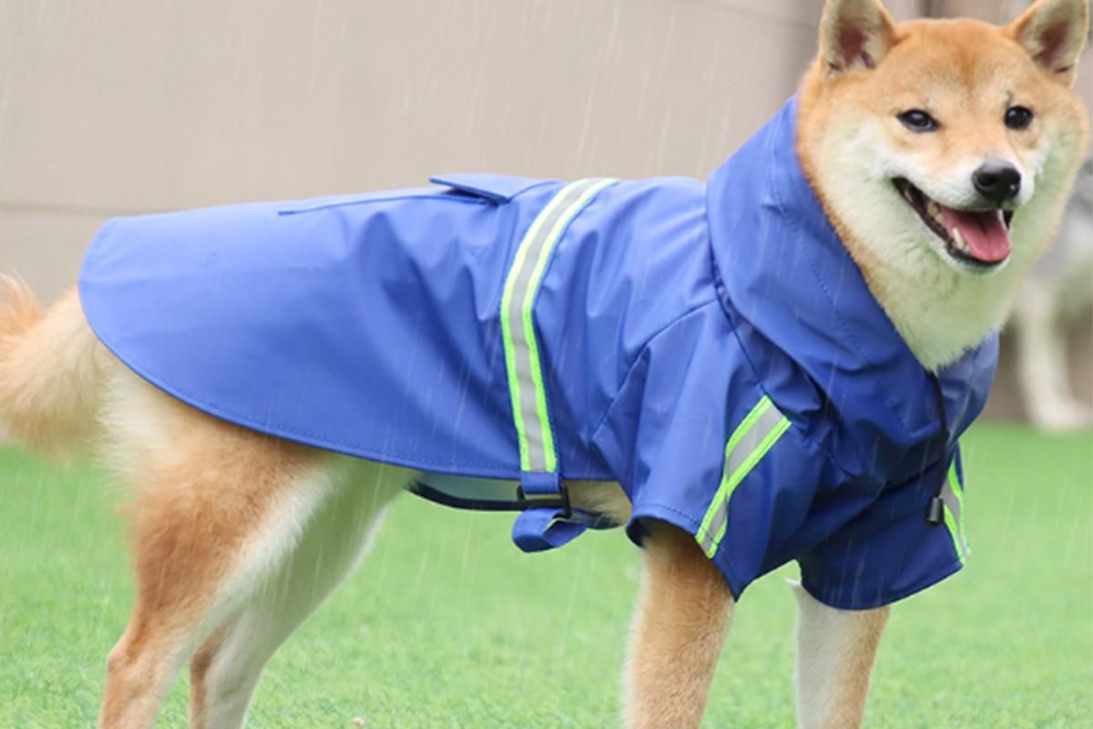 Pet Raincoat Outdoor Waterproof Dog Poncho for Small and Medium Dogs - Blue - Image 2