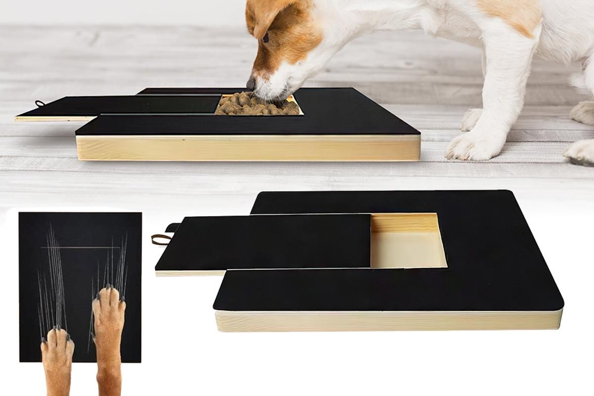 Dog Scratch Pad for Nails Scratching Board with Treat Box - Image 1