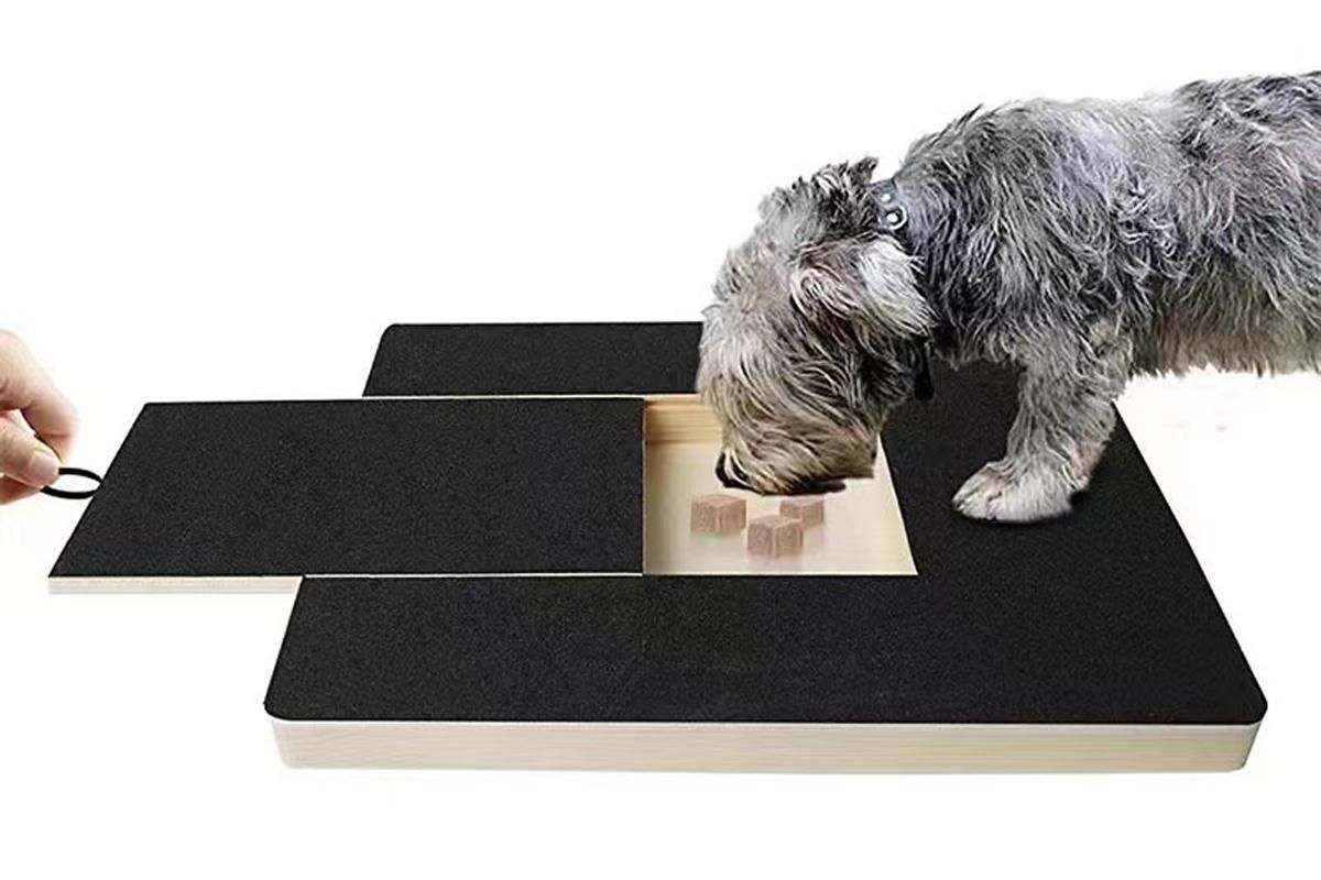 Dog Scratch Pad for Nails Scratching Board with Treat Box - Image 3
