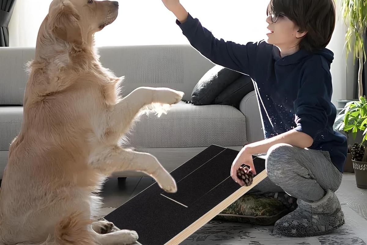 Dog Scratch Pad for Nails Scratching Board with Treat Box - Image 4