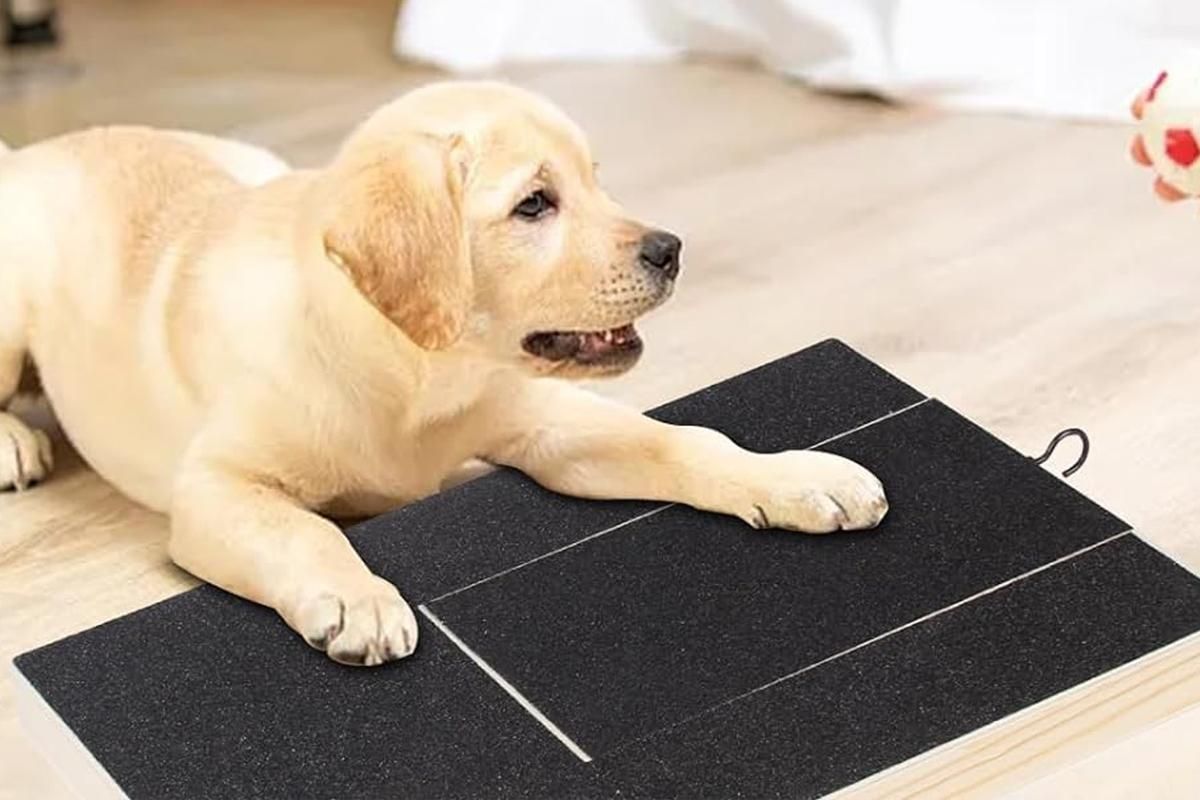 Dog Scratch Pad for Nails Scratching Board with Treat Box - Image 5