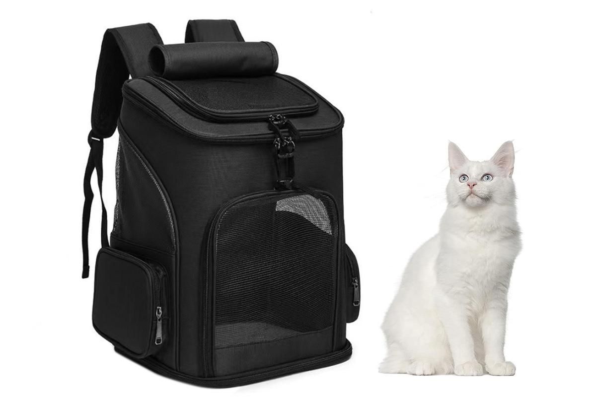 Expandable Large Cat Backpack Carrier for Small Pets - Black - Image 1